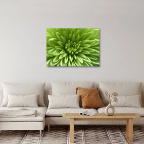 Tablou - Imagine macro a unei plante (70x50 cm)