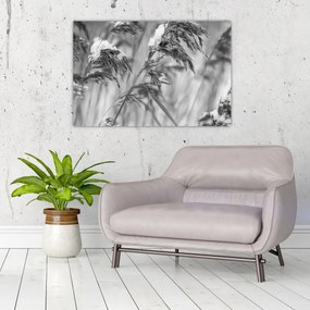 Tablou - Tei,alb-negru (90x60 cm)