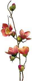 Crenguta cu magnolie roz coral, Beauty, 100cm