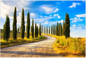 Tablou - Peisaj (90x60 cm)