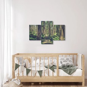 Tablou cu drum între copaci (90x60 cm)
