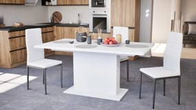 Scaun de masă Tino NOVA în alb și negru