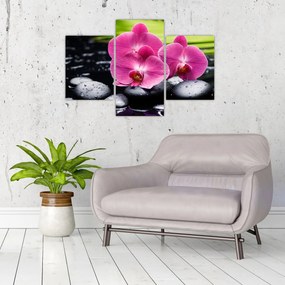 Tablou - Orhidee roz cu frunze de palmier (90x60 cm)