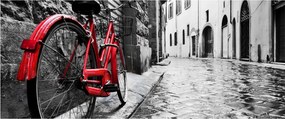 Tablou - Bicicleta roșie pe o stradă pavată (120x50 cm)