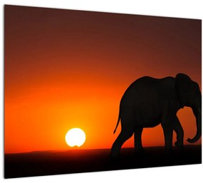 Tablou pe sticlă cu elefant în apus de soare (70x50 cm)