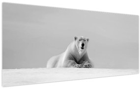 Tablou - Ursul polar (120x50 cm)