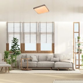 Rabalux 71166 - Plafonieră LED DRUZOR, 40 W, 230 V, 3000 K