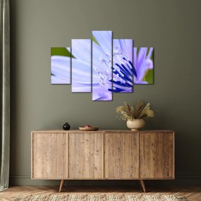 Tablou - Floare (150x105 cm)