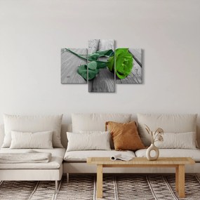 Tablou - Trandafir verde (90x60 cm)