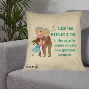Cadou pentru Bunici - Perna Personalizata Bunicii Iubirea Infloreste cu Nepoata Teal, 40x40 cm, Crem, Husa Detasabila, Perna Inclusa, BEKZ®