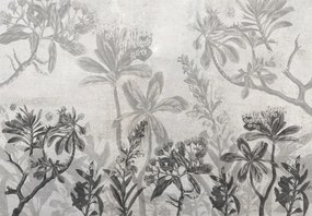 Fototapet - Plante în beton (147x102 cm)