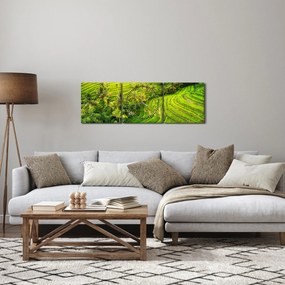 Tablou - Terase de orez (cu ceas) (90x30 cm)