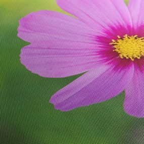 Tablou - floare de câmp (cu ceas) (90x30 cm)