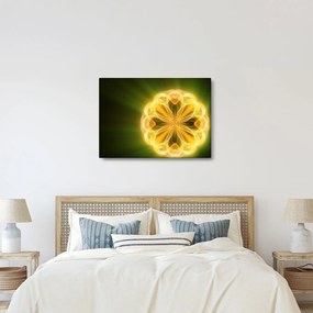 Tablou cu floare galbenă (70x50 cm)
