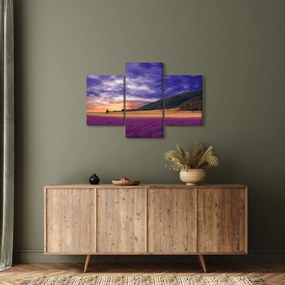 Tablou cu lunca cu lavandă (90x60 cm)