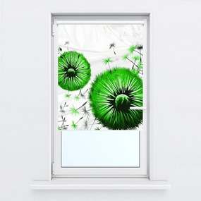 Fotojaluzele R015433R42150 (42x150 cm)