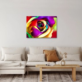 Tablou - Trandafir colorat (70x50 cm)