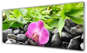 Tablou pe sticla Frunze de flori Pietre Arta Roz Verde Negru