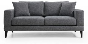 Canapea cu 2 Locuri Nordic 2 Seater, Gri Inchis