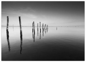 Tablou pe sticlă cu nivelul de lac alb negru (70x50 cm)
