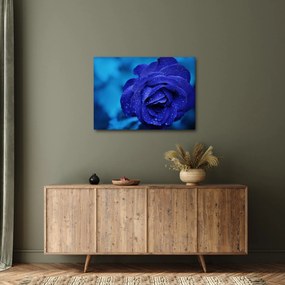 Tablou cu trandafir albastru (70x50 cm)
