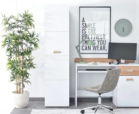 Dulap cu rafturi Congresual C02 (alb). 1137210