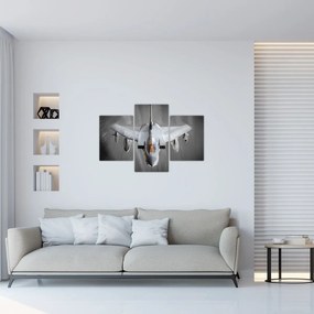 Tablou - Avion de vânătoare (90x60 cm)