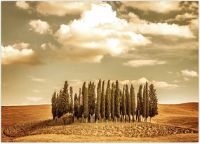 Tablou cu luncă (70x50 cm)