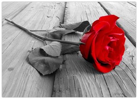Tablou pe sticlă cu trandafiri roșii (70x50 cm)