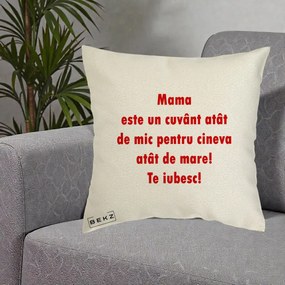 Cadou pentru Mama - Perna Personalizata Mama Cuvant Mic, 40x40 cm, Ecru, Husa Detasabila, Perna Inclusa, BEKZ®