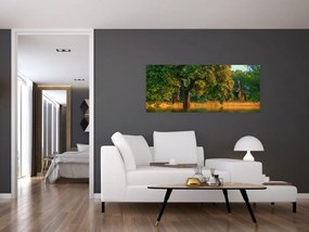 Tablou cu girafe în natură (120x50 cm)
