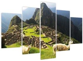 Tablou - Lame in Machu Picchu (150x105 cm)