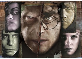 Harry Potter Puzzle compact 1000 piese Clementoni