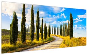 Tablou - Peisaj (120x50 cm)