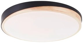 Plafonieră LED dimabilă Brilliant BAARLO LED/36W/230V d. 50 cm negru + telecomandă