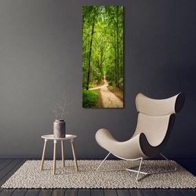 Fotografie imprimată pe sticlă Calea în pădure