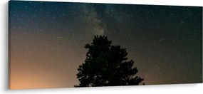 Tablou cu cerul nocturn și copaci (120x50 cm)