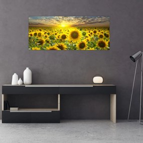 Tablou - Floarea-soarelui la apus de soare (120x50 cm)