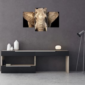 Tablou - Elefant african (90x60 cm)
