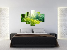 Tablou - Pajiște magică plină de păpădii (150x105 cm)