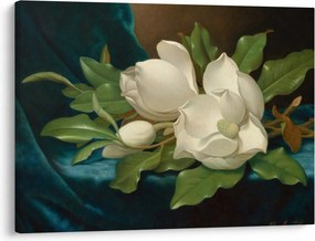 Tablou - Martin Johnson Heade, Giant Magnolias on a Blue Velvet Cloth, reproducere (70x50 cm)