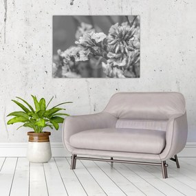 Tablou pe sticlă - Flori uscate (70x50 cm)
