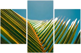 Tablou - Frunze de palmier (90x60 cm)