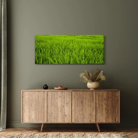Tablou cu iaraba (120x50 cm)