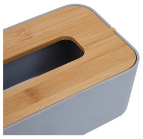 Cutie pentru șervețele din plastic Canyon – Premier Housewares