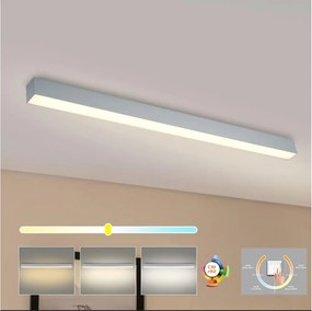 Brilagi - Plafonieră LED pentru baie SLEEKLINE LED/40W/230V, argintie, IP44