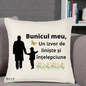 Cadou pentru Bunic - Perna Personalizata Bunicul Meu Izvor de Liniste cu Fluture si Baietel, 40x40 cm, Crem Reliefat, Husa Detasabila, Perna Inclusa, BEKZ®