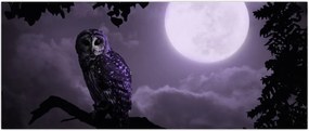 Tablou - Bufniță de noapte, violet (120x50 cm)