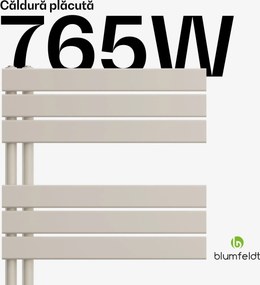 Blumfeldt Radiator Fairmont, 60 x 160 cm, montat pe perete, design modern, apă caldă
