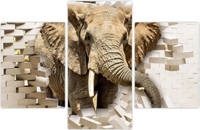 Tablou - Elefant spârgând peretele (90x60 cm)